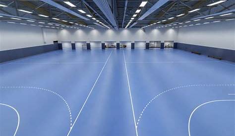 Gerflor Taraflex Sport M Evolution official floorball