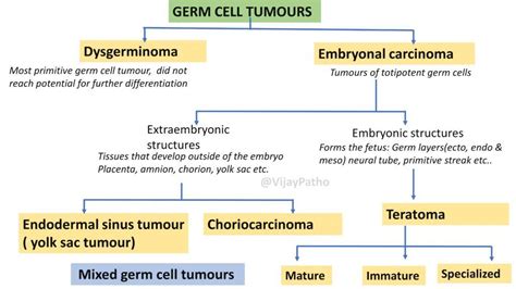 germ cell tumor types
