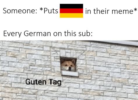 Ins Deutsche übersetzt German Memes Wiki Fandom
