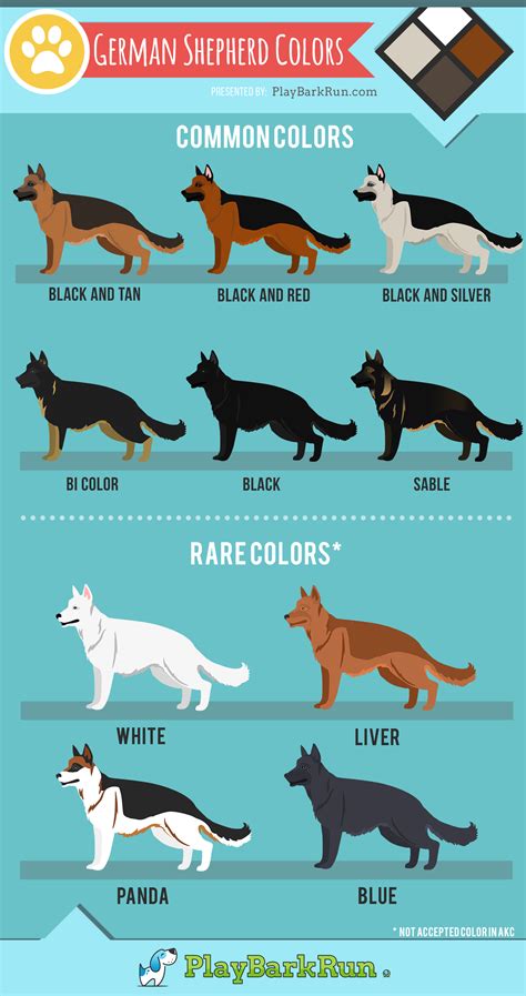 german shepherd coat variations