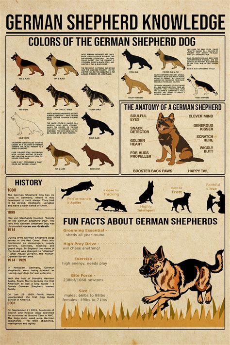 german shepherd knowledge