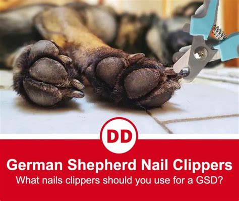 german shepherd nail clippers