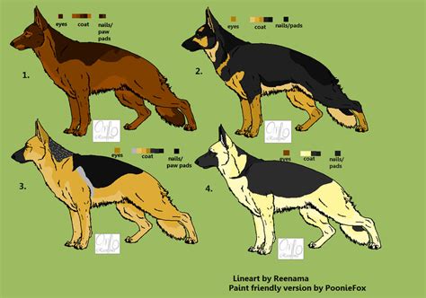 german shepherd point