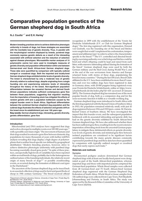 german shepherd population