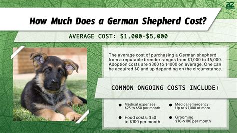 german shepherd pricing
