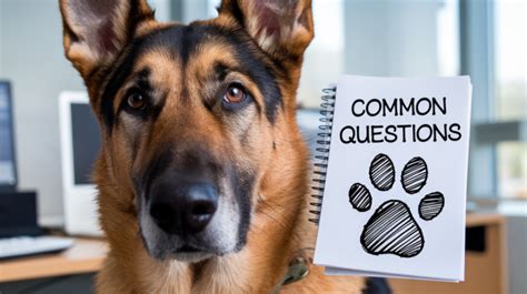 german shepherd questions
