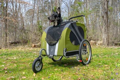 German Shepherd Stroller