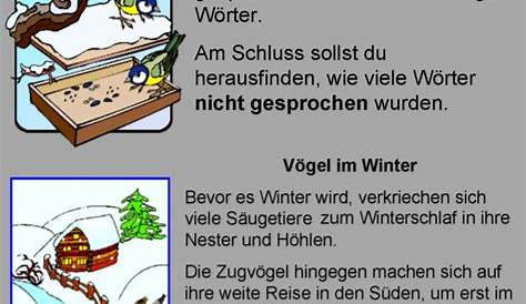 Vögel im Winter (Fehlerlesen) - Medienwerkstatt-Wissen © 2006-2024