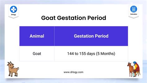 gestation of goats in months