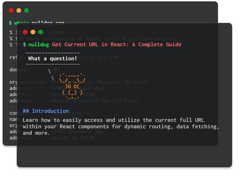 get current url in react testing library
