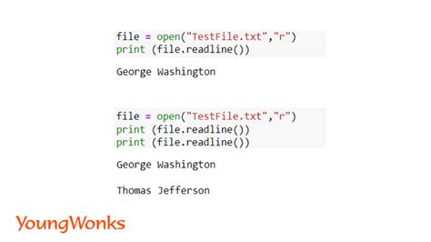 get data from text python