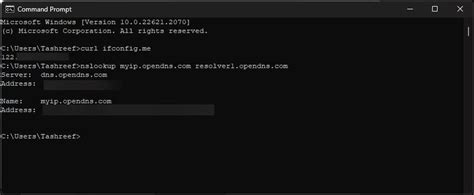 get external ip from command line curl