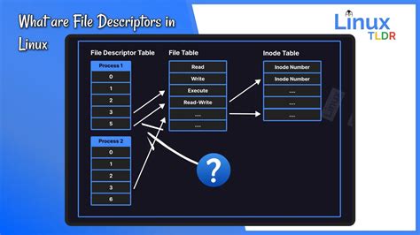 Get File Descriptor In Linux