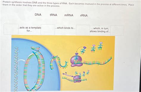 get involved part of the process