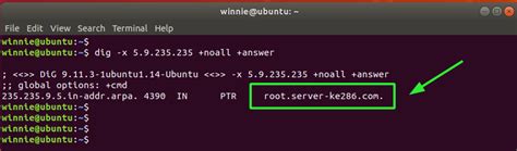 get ip from domain name linux