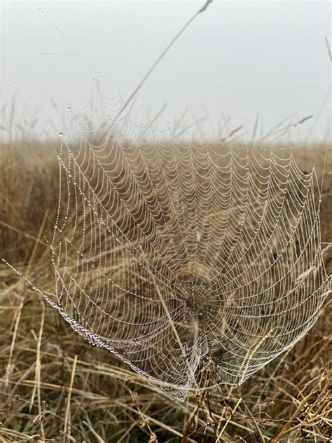 Hailey Welch’s Erosion: What Shocked Fans and Media So Hard!