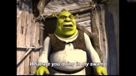 get out my swamp gif