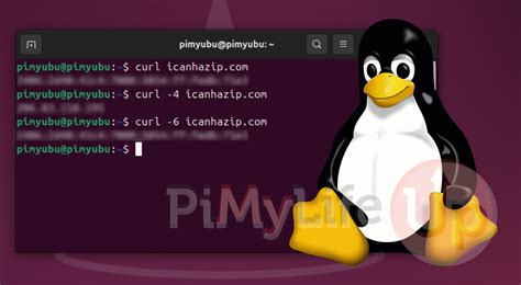get public ip linux curl