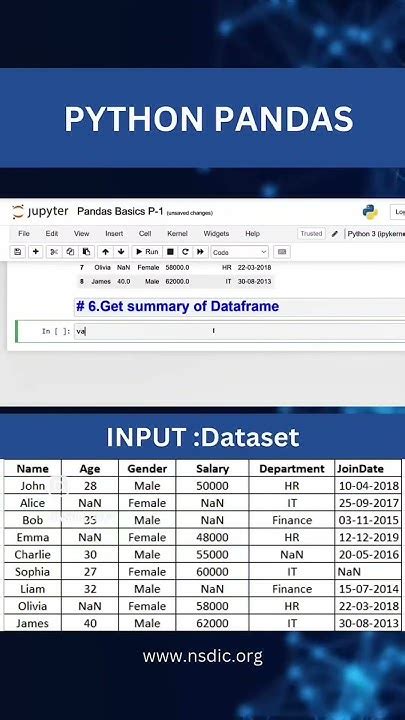 get summary of dataframe in python