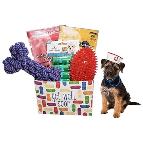 get well soon dog gift