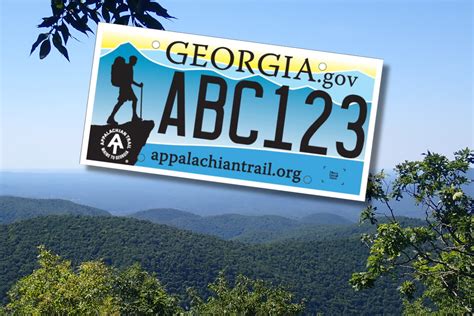 Getting A Georgia Tag