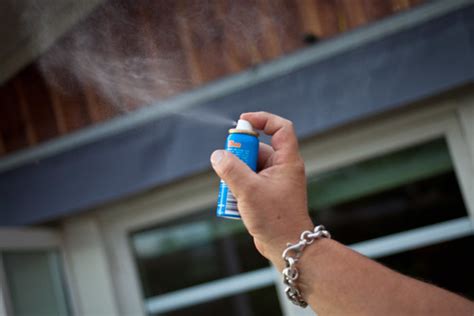 Getting House Sprayed For Bugs While Pregnant