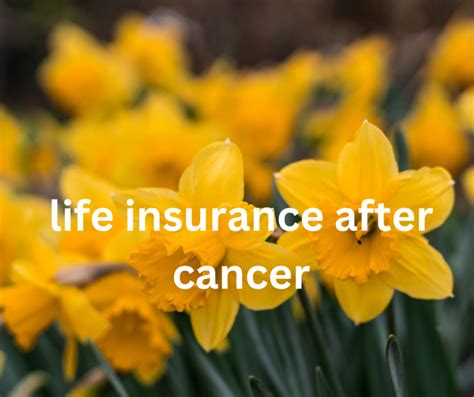 getting life insurance after melanoma