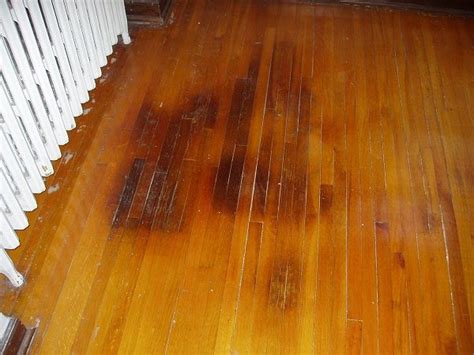 getting pee stains out of hardwood floors