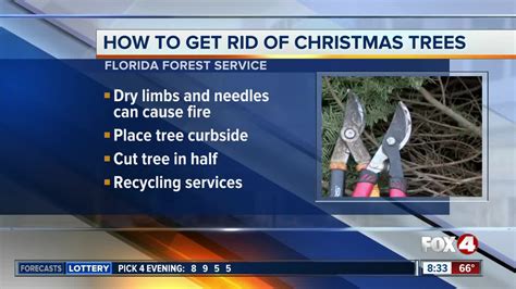 Getting Rid Of Christmas Trees