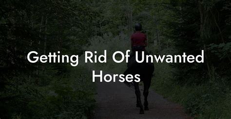 getting rid of unwanted horses