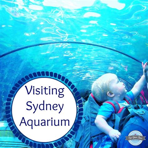 getting to sydney aquarium