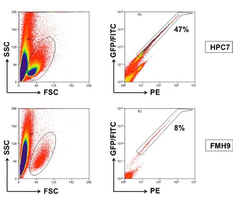 gfp flow cytometry channel