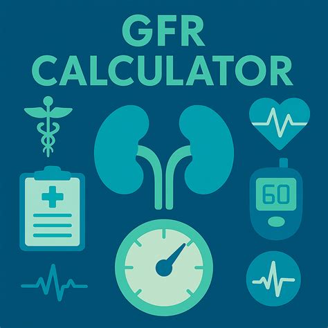 Gfr Calculator Nephron