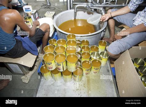 Ghee Factory India