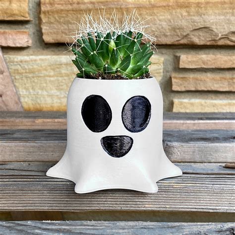 Succulent baby Ghost Plant Etsy