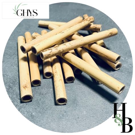 Ghys Oboe Cane