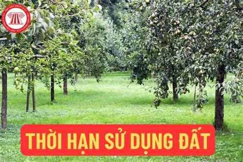 gia hạn thời hạn sử dụng đất