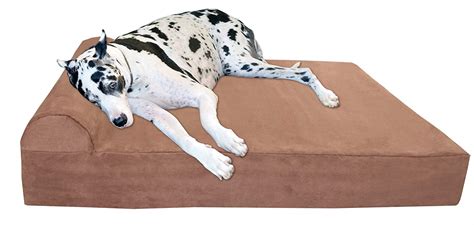 Top 5 Extra Large Dog Bed For Great Danes Dog N Treats
