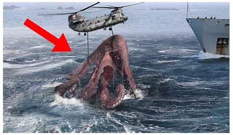 Ningen Humanoid Giant Sea Creature from Antarctic Ocean | Real sea