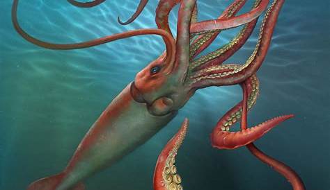 Giant Squid Design (SVG Cut file) by Creative Fabrica Crafts · Creative