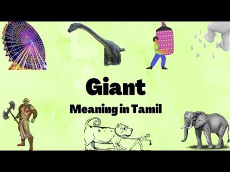 giant meaning in tamil with example
