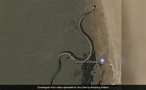 giant snake google maps