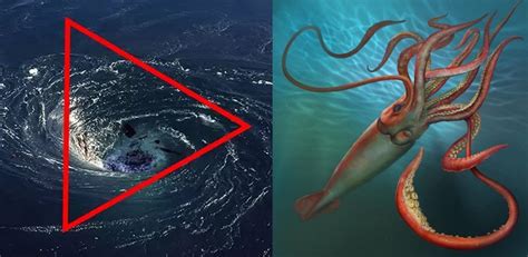 giant squid in bermuda triangle