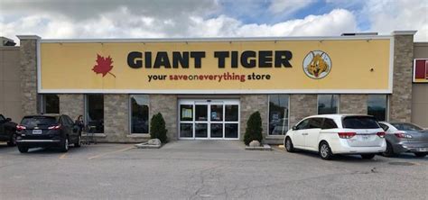 giant tiger near me jobs