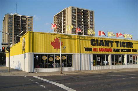 giant tiger official website