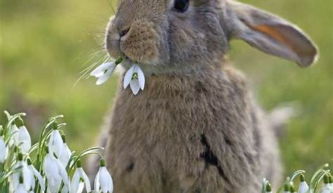 Was gehört zum Frühling dazu? | Nordbayern