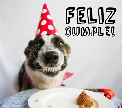 gif de feliz cumpleaños con perros