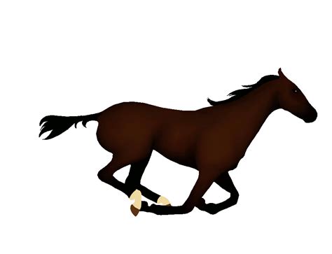 gif image riding running horse