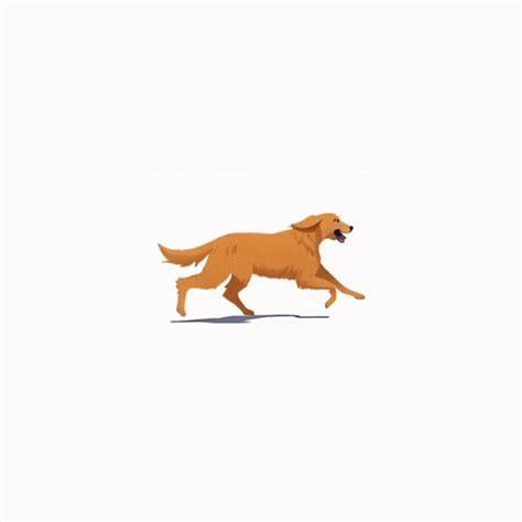 Funny Animals Funny Dog GIF FunnyAnimals FunnyDog BuenosDias