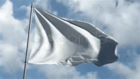 gif waving white flag